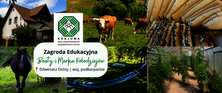 Kolaż przedstawia elementy z gospodarstwa rolnego.