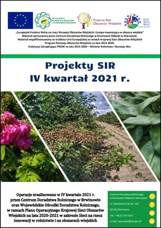 Obrazek odsyła do opisów projektów SIR czwarty kwartał 2021 r.