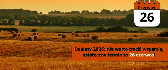 Obraz przedstawia pole.