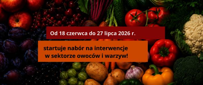 Obraz przedstawia owoce i warzywa.