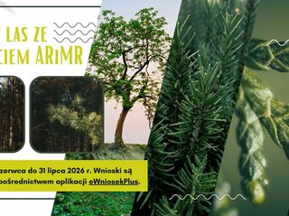 Grafika przedstawia las i zgłoszenia do ARiMR.