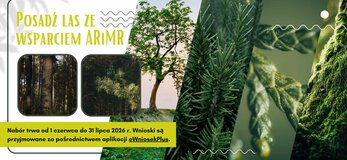 Grafika przedstawia las i zgłoszenia do ARiMR.