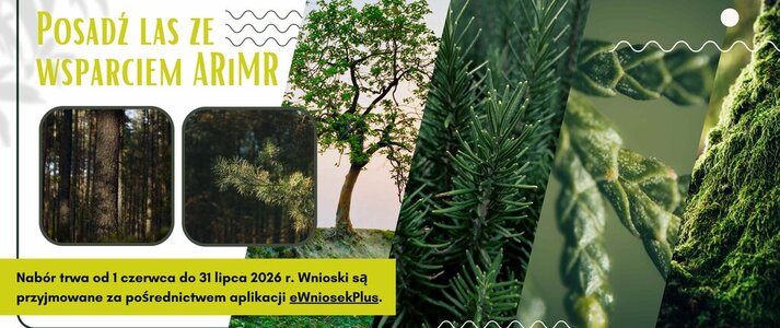 Grafika przedstawia las i zgłoszenia do ARiMR.
