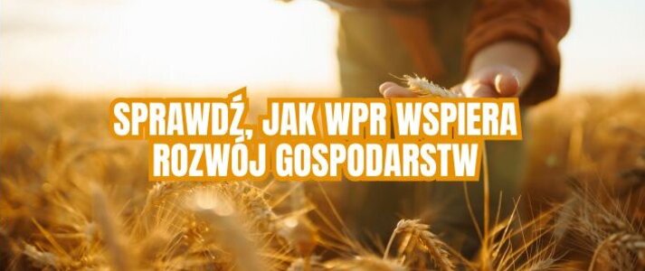 Rolnik dotyka zboża na polu.