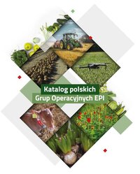 Obraz przekierowuje do publikacji stanowiącej katalog polskich grup operacyjnych EPI