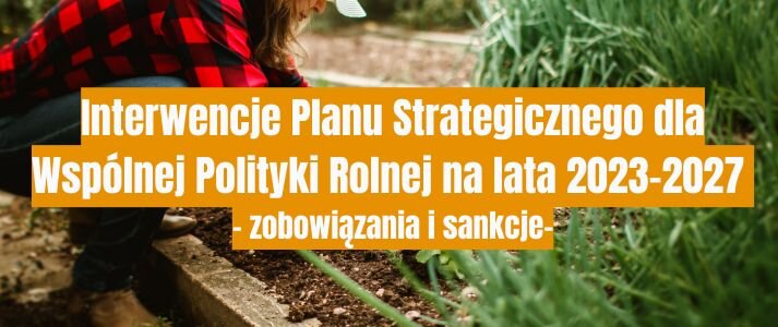 Grafika przedstawia osobę pielącą w ogródku.
