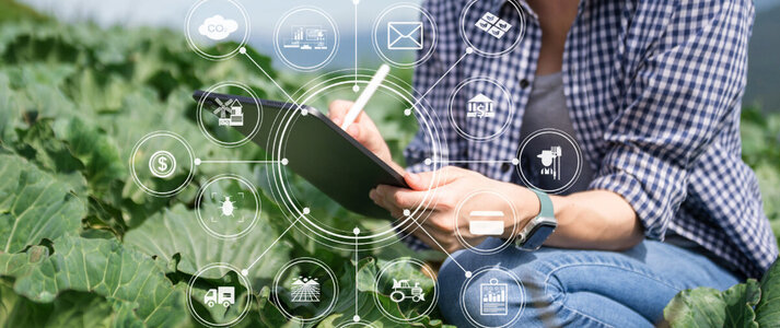 Obrazek przedstawia rolniczkę na polu.