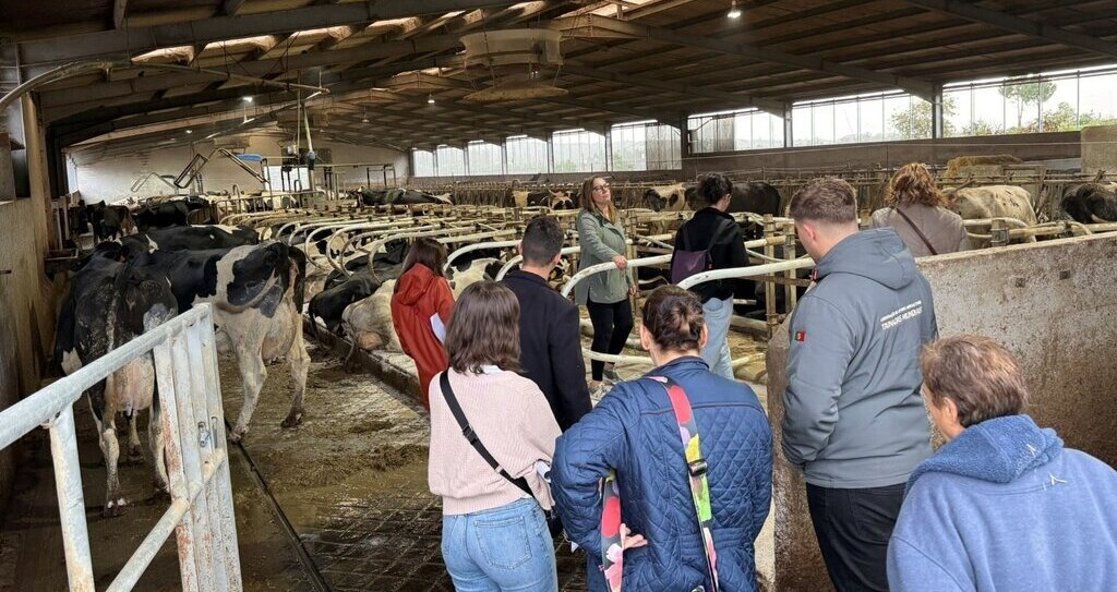 Obrazek przedstawia uczestników w gospodarstwie ronym - produkcja zwierzęca.