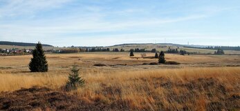 Zdjęcie przedstawia pole