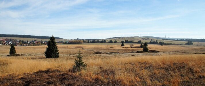 Zdjęcie przedstawia pole