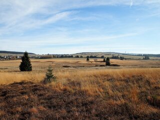 Zdjęcie przedstawia pole
