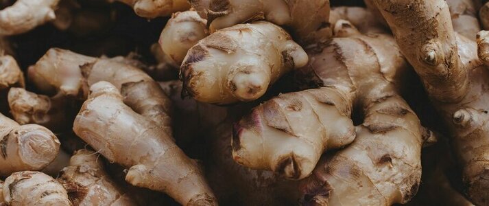 Obrazek przedstawia rośline Imbir