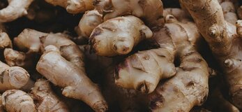 Obrazek przedstawia rośline Imbir