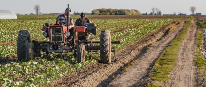 Traktor na polu.