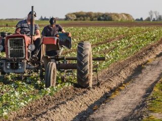 Traktor na polu.