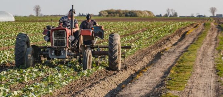 Traktor na polu.