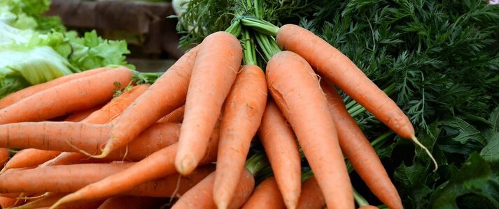 Zdjęcie przedstawia marchew oraz inne warzywa