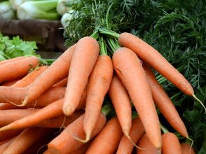 Zdjęcie przedstawia marchew oraz inne warzywa
