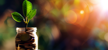 Zdjęcie przedstawia słoik z monetami i rośliną