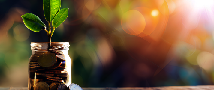 Zdjęcie przedstawia słoik z monetami i rośliną