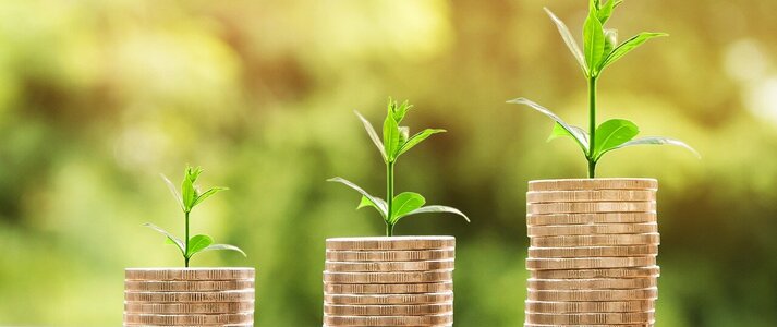 Obrazek przedstawia 3 słupki ulożonych monet i rośliny na nich.