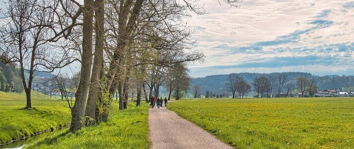 Obrazek przedstawia widok na wieś.