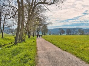 Obrazek przedstawia widok na wieś.