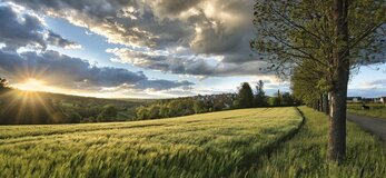 Zdjęcie przedstawia zachód słońca na obszarze wiejskim