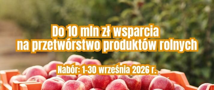Kosz z jabłkami w tle drzewa.