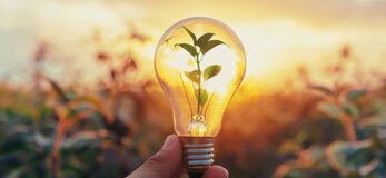 Zdjęcie przedstawia roślinę w żarówce