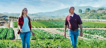 Obrazek przedstawai rolników rozmawiających na polu szpinaku