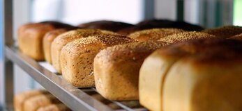 Zdjecie przedstawia chleby 