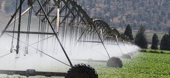 Obraz: Nawadnianie, Zraszacze, Rolnictwo.