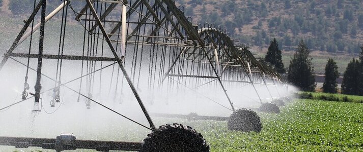 Obraz: Nawadnianie, Zraszacze, Rolnictwo.