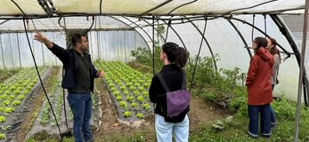 Obrazek przedstawia uczestników spotkania w szklarn