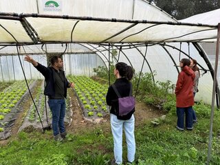 Obrazek przedstawia uczestników spotkania w szklarn