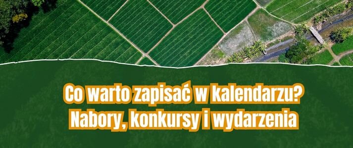 Krajobraz rolniczy.