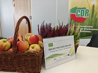 Obrazek przedstawia jabłka w koszyku i plakat konferencji