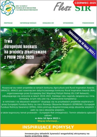 Obraz przedstawiający pierwszą stronę newslettera "Flesz SIR" z linkiem do wersji pdf