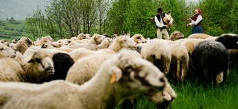 Zdjęcie przedstawia owce, górala oraz góralkę grającą na instrumentach