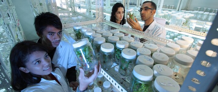 Obrazek przedstawia 4 naukowców w laboratorium.