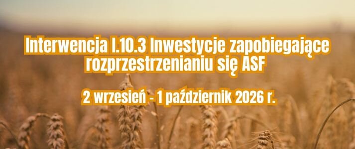 Zdjęcie zbóż.