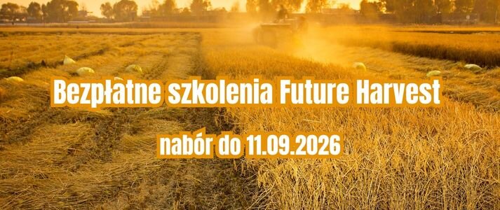 Zdjęcie przedstawia pole zboża.
