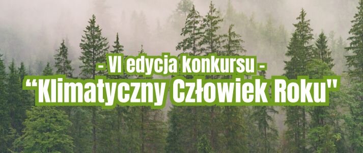 Widok czubka lasu z mgłą na górze.