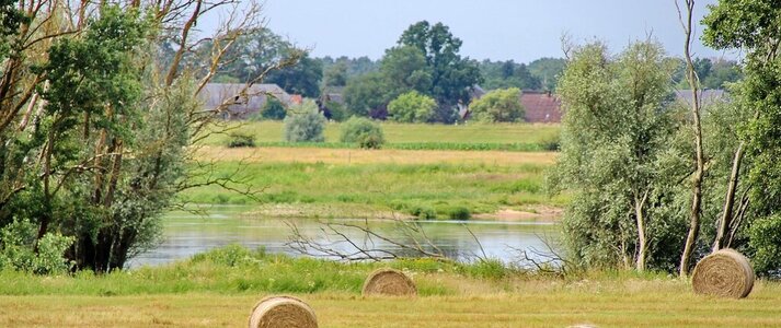 Obrazek przedstawia widok na pole i naturalny zbiornik wodny.