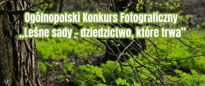Zdjęcie lasu i napis informujący o konkursie.