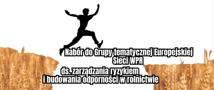 Chłopak przeskakuje przez przepasć.