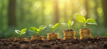 Zdjęcie przedstawia rośliny rosnace na monetach