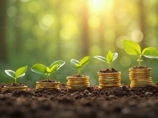 Zdjęcie przedstawia rośliny rosnace na monetach