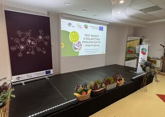 Obrazek przedstawia scenę z ekranem przygotowaną na konferencję